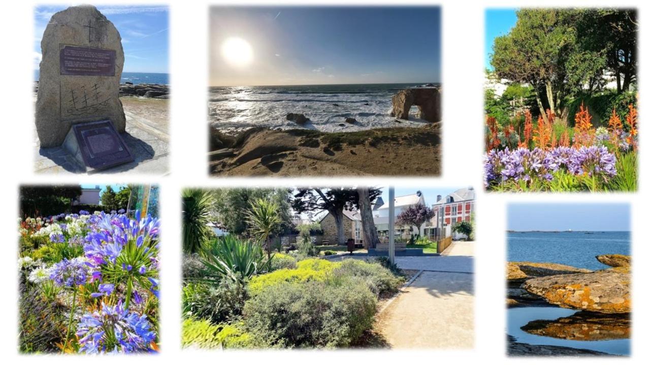 Appartement 3 Pieces Coeur Ville Quiberon Bagian luar foto